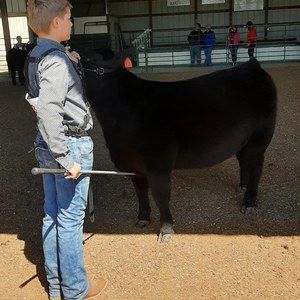 Meet your Posher, Chase